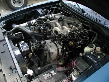 Picture for category 2004-1994 MUSTANG V6 (3.8)