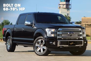 Picture for category 2015-2017 F-150 (5.0 4V)